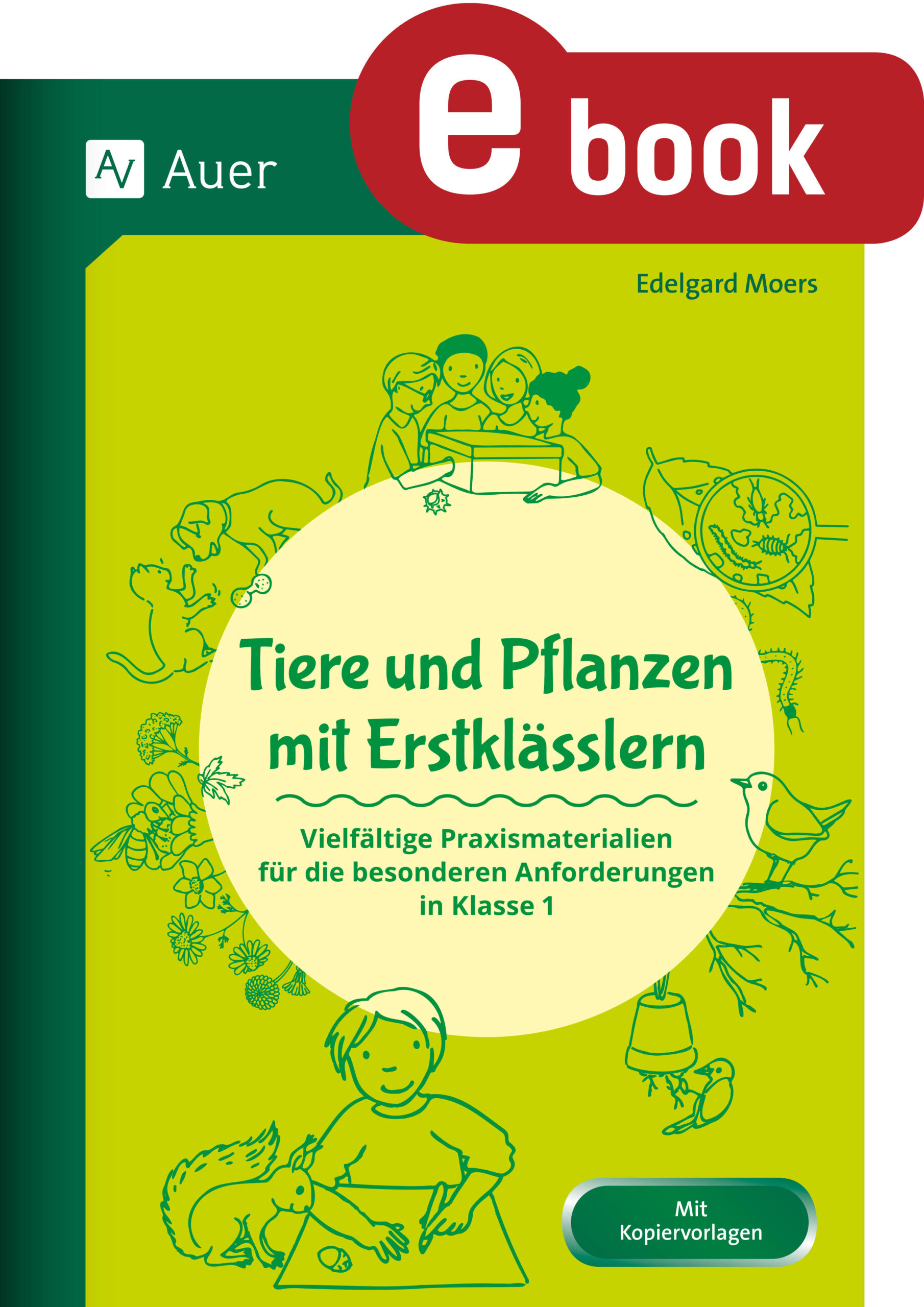 Lernspiele Grundschule Sachunterricht Tiere Und Pflanzen Mit Erstklässlern