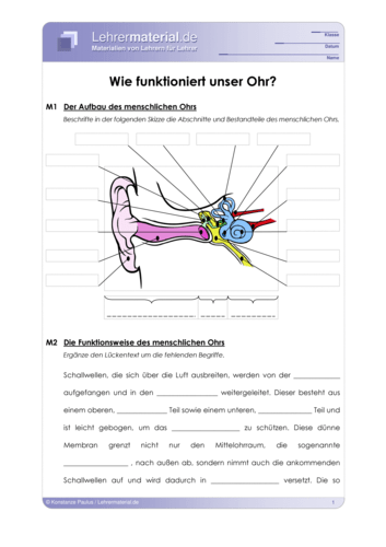 Das Ohr Lernspiel Quiz Das Ohr Arbeitsblatt Mit Lösungen