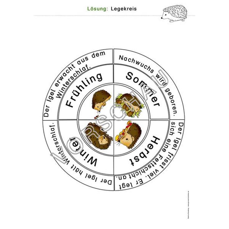 Iigel Lernspiele Igel1 – Zaubereinmaleins Shop
