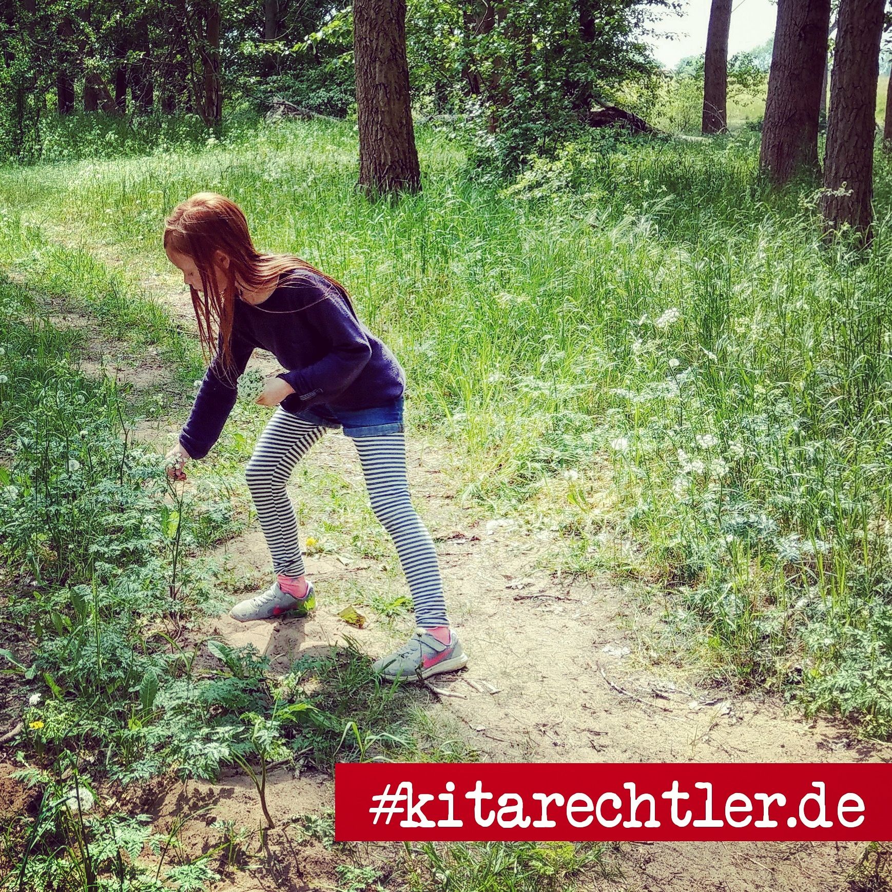 Lernspiel Giftpflanzen Giftpflanzen Pferdeliebe Magazin