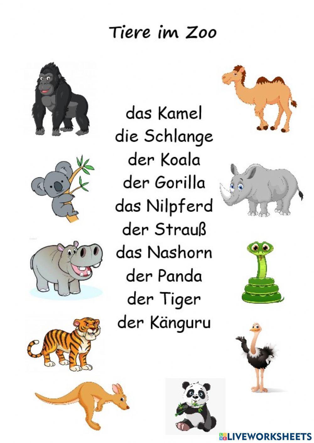 Brainbox Lernspiel Carletto Wilde Tiere Wilde Tiere: English Esl Worksheets Pdf & Doc