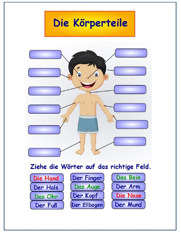 Kinder Lernspiel Körperteil Kinder Lernen Körperteile