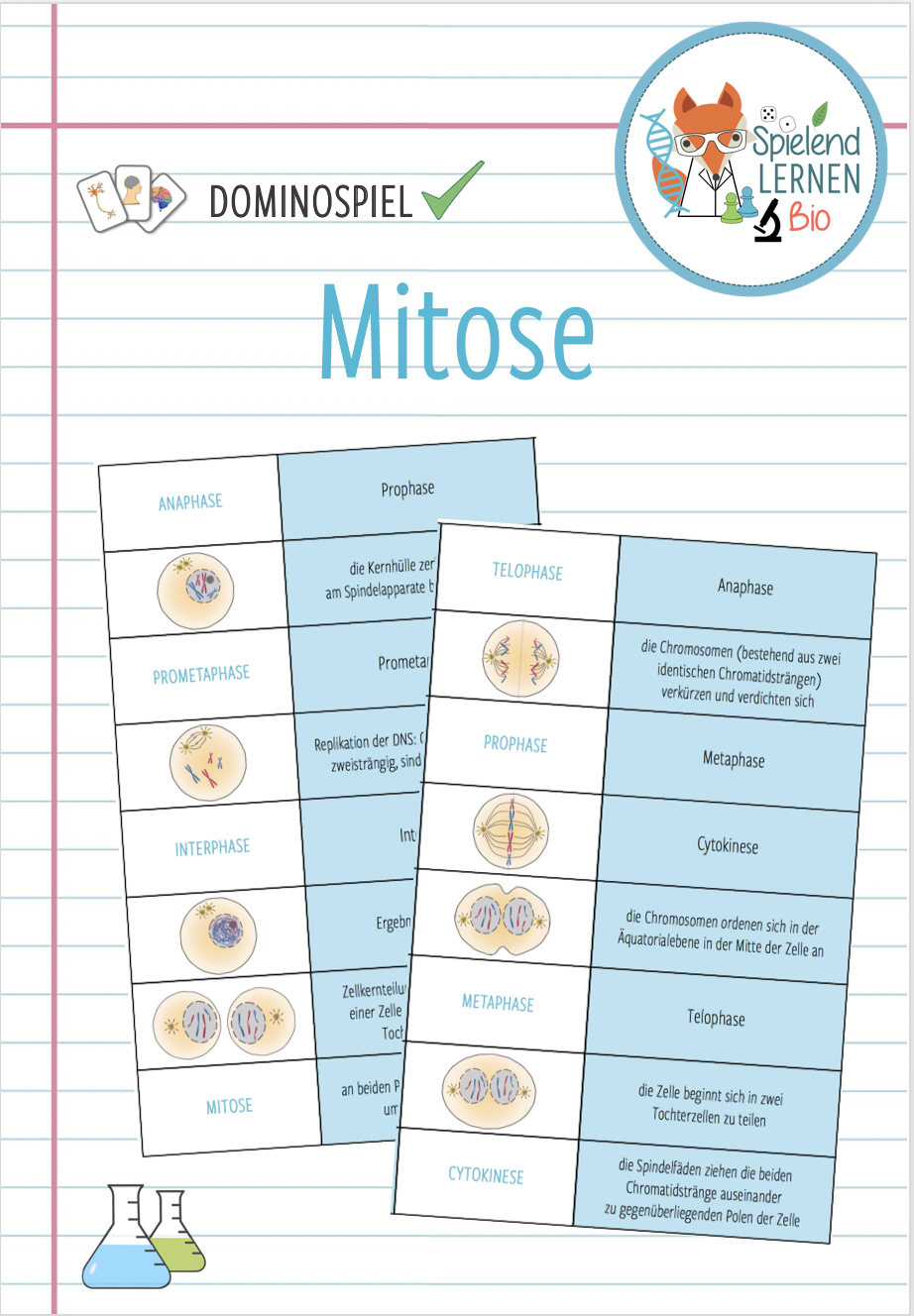 Mitose Lernspiel Mitosis: The Game
