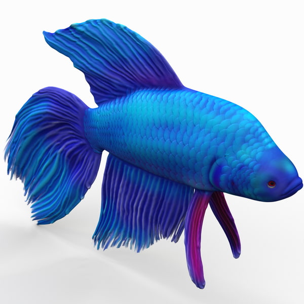Fish 3ds Lernspiel Gateway Emundand Fish 3ds
