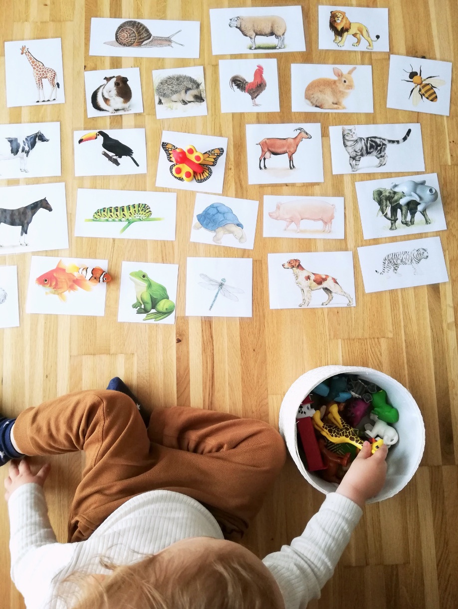 Lernspiele Kleinkinder Ab 2 Jahren 50+ Best Simple Games For 2 Year Olds And Up