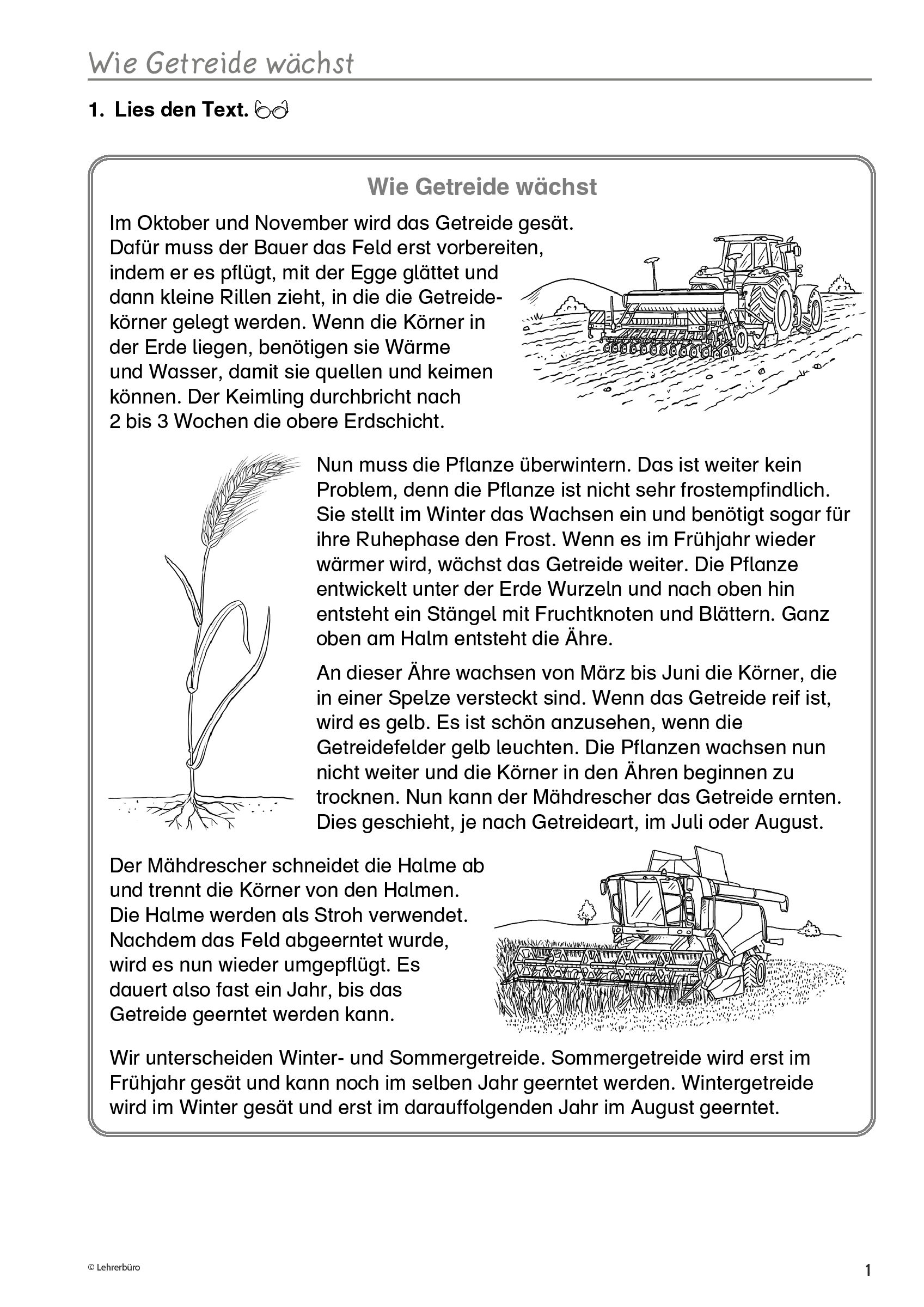 Getreide Lernspiele Grundschule Getreide Grundschule Korn Brot Sachunterricht Arbeitsblätter Sachkunde Schulunterricht Lehrer Lehrerbüro Unterrichtsmaterialien Größten Plattformen Klasse Ist Grundschulen Fachinformationen Grundschullehrer übungen Unterrichtsmaterial