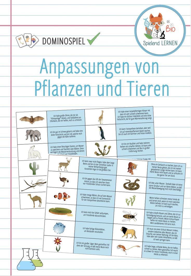 Lernspiele Biologieunterricht Biologie Naturwissenschaft Unterricht Einblicke Petersgasse Aktivitäten