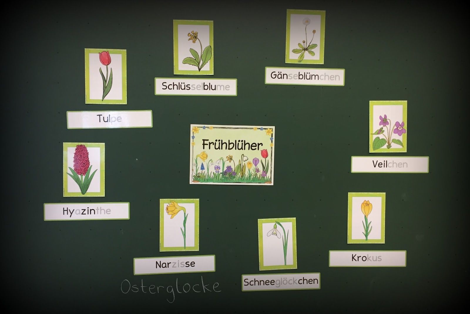 Frühblüher Lernspiel Lernwerkstatt Frühblüher
