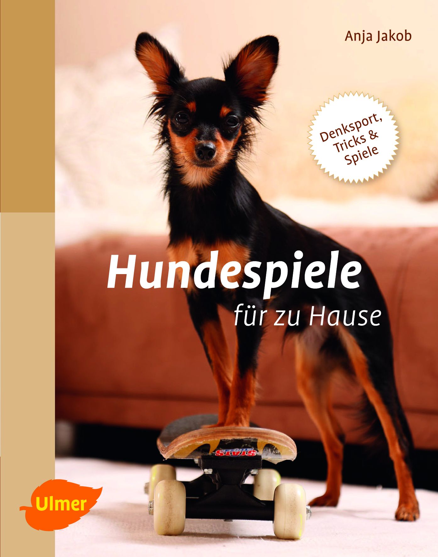 Lernspiele Für Hunde Spiele Für Hunde Und Welpen Drinnen