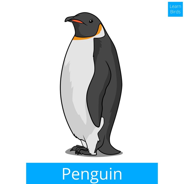 Ravensburger Pinguin Lernspiel Ravensburger Plitsch-platsch Pinguin Kinderspiel 213252